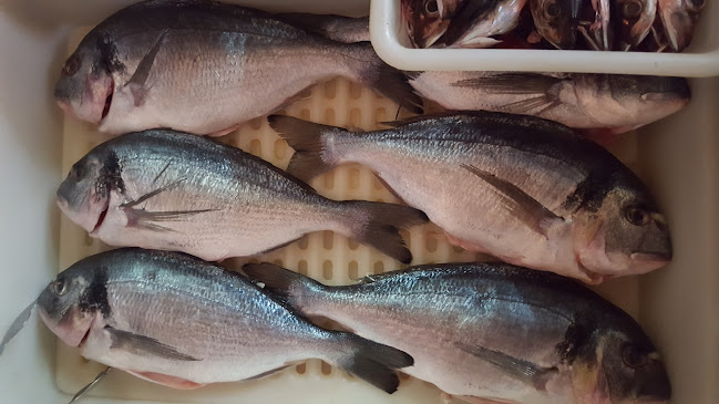 Bar Restaurante Raul Phone number