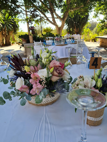 es mitja fondo - Inca