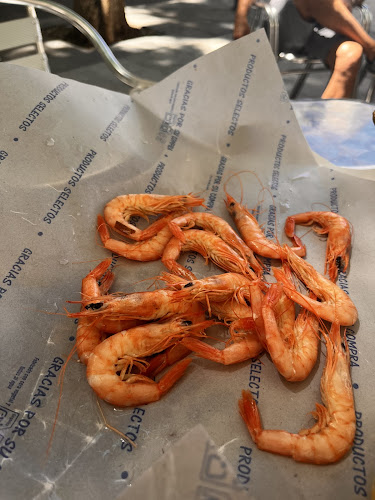 Reviews of Cervecería Freiduría Marisquería del Mentidero in Cádiz - Gastronomía y hostelería