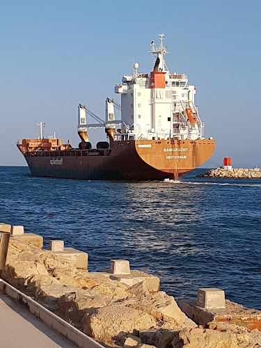 Gelateria Pinocchio Phone number