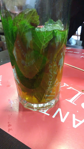 Paloma Blanca Open Times