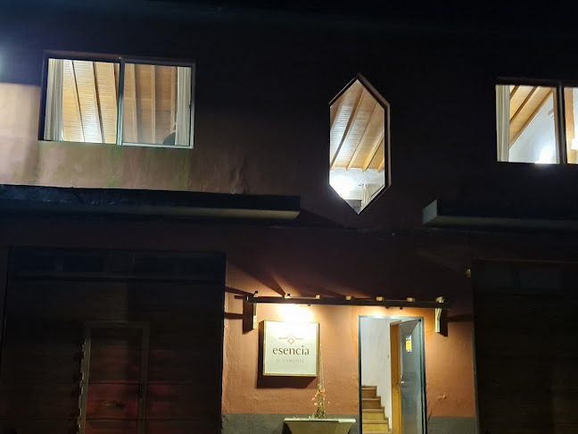 Opinii despre Esencia în El Gamonal - Gastronomía y hostelería