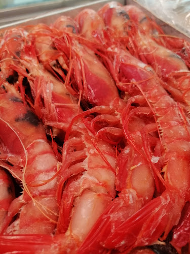 Congelados Toñi Open Times