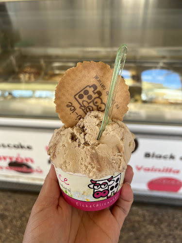 Heladería Muú-Ice - Gastronomía y hostelería