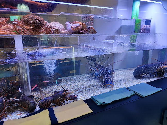 Restaurante Mar DeNorte Phone number