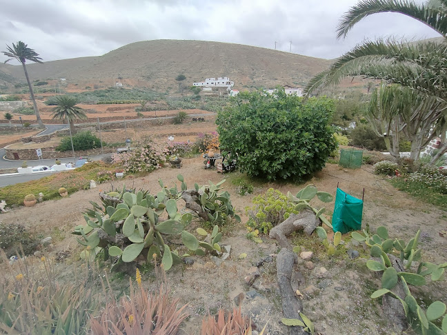 Comentarii opinii despre Casa Santa Maria