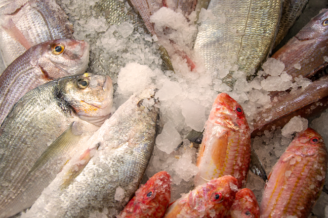 Nueva Alegría Osushi - Chiclana de la Frontera