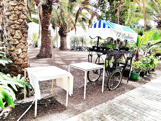Calle Jesús de Nazareno, Ctra. de las Coloradas, 1, BAJO, 35009 Las Palmas de Gran Canaria, Las Palmas