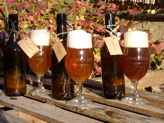 Comentarii opinii despre Bar 23.3km