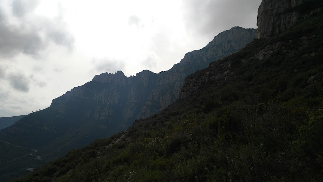 Vila Vallbona - Gastronomía y hostelería