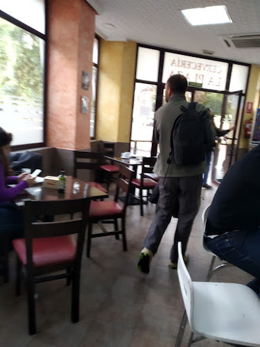 Bar La Plaza Cervecería - Gastronomía y hostelería