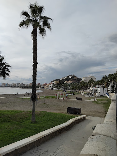 Chiringuito Oasis Playa Open Times