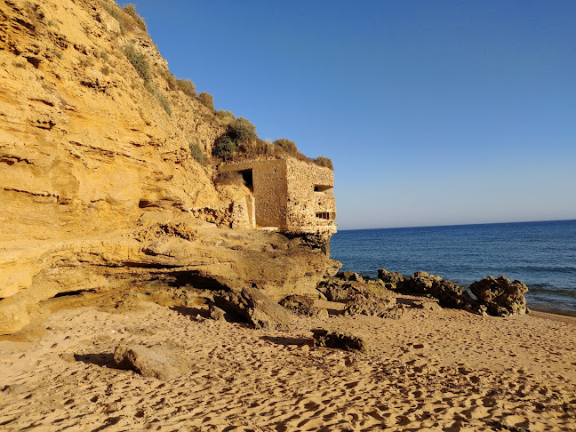 Pizzería Fattucchi Open Times