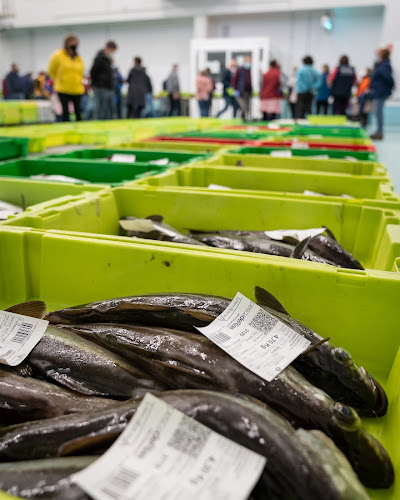 Pescado y Marisco Gallego COYOMAR - Ribeira