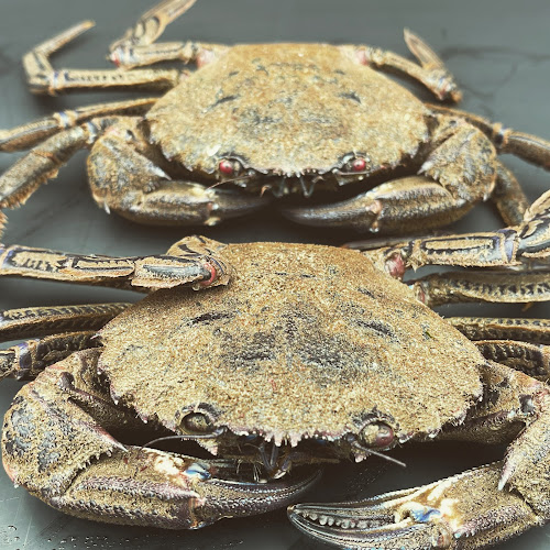 Marisquería Lázaro Open Times