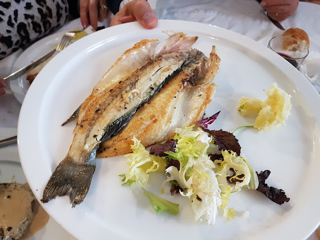 Restaurante Nuevos Horizontes Alcázar de San Juan - Gastronomía y hostelería