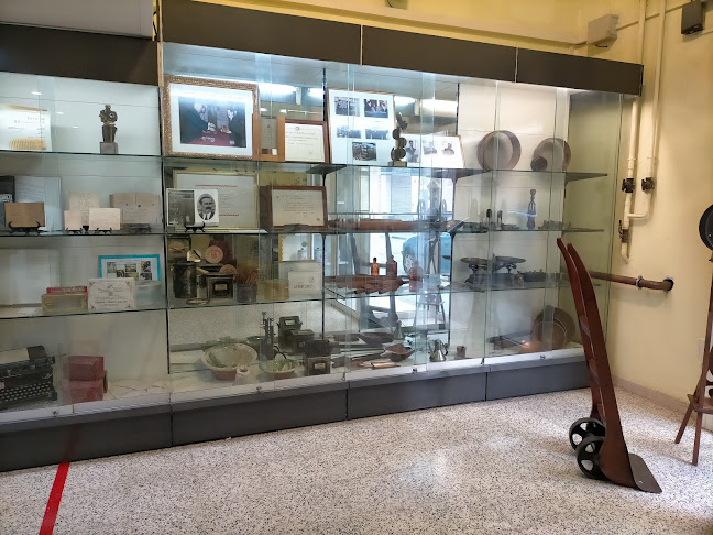 Forn la Barceloneta Phone number