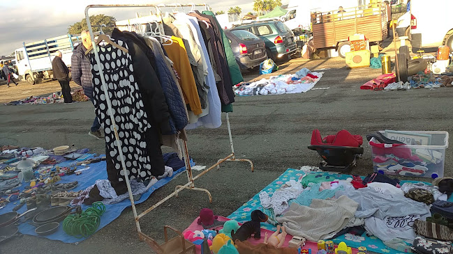 AutoCine. Mercadillo (los Domingos) de San Javier. - Valencia