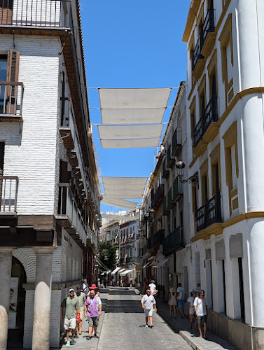C. Alemanes, 13, Casco Antiguo, 41004 Sevilla