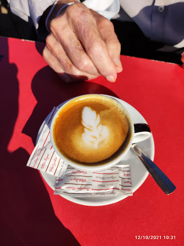 GRAN BAR - Gastronomía y hostelería