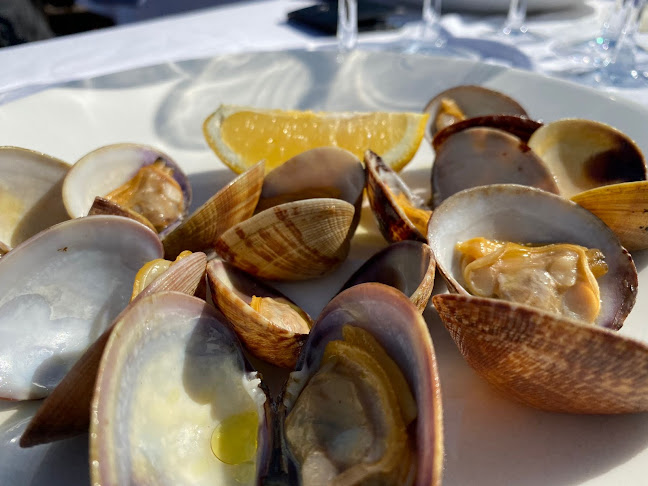 El Xalet de Montjuïc Open Times