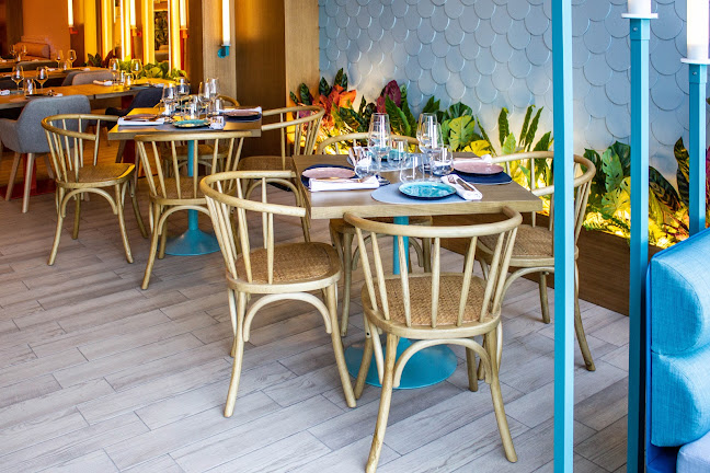 Opinii despre Tanit Valencia în Valencia - Gastronomía y hostelería