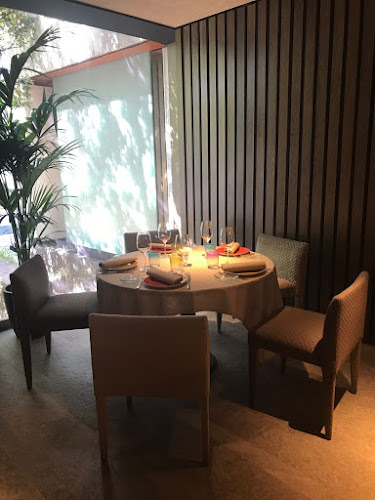 Urrechu Velázquez Open Times