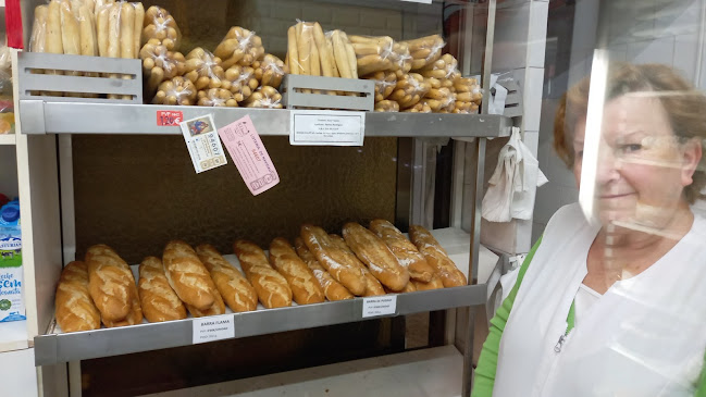 Comentarii opinii despre Horno J.V.Jimenez