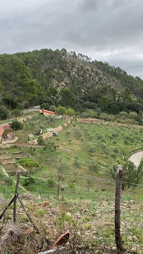 Reviews of Son Sampol 26 Andratx in Andratx - Gastronomía y hostelería