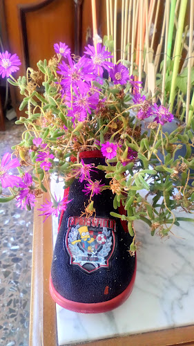 C. de Barcelona, 74, Delicias, 50017 Zaragoza