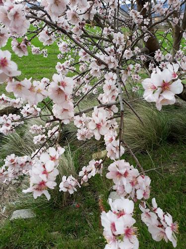 Café Deluxe Open Times