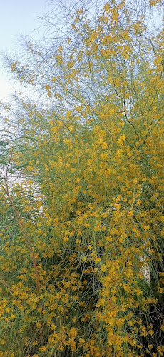 Comments and reviews of hummburger