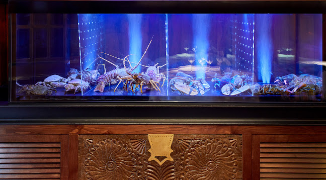 Comments and reviews of Juanito Kojua