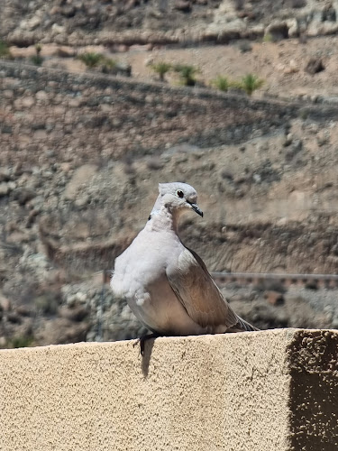 CC Lady Paris - Gastronomía y hostelería