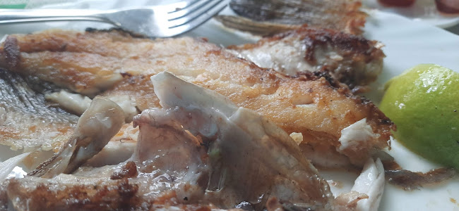 Bar Restaurante Raul - Gastronomía y hostelería