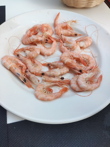 Taberna Sevillana Open Times