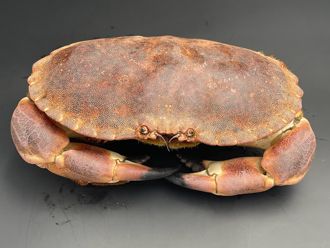 Marisquería Lázaro - Gastronomía y hostelería