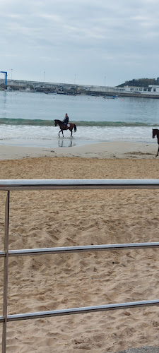 Restaurante Puntoecoma Guía Repsol 2025