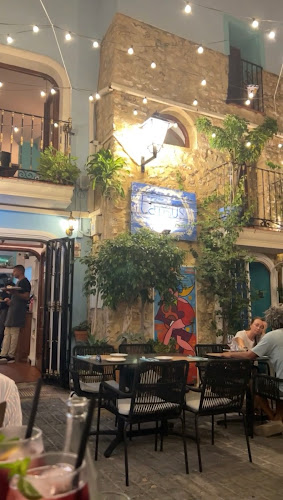 Lapsus Bistro - Gastronomía y hostelería