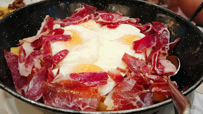 Carrer Humbert Torres, s/n, 25008 Lleida