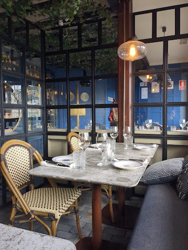 Teckel Madrid - Madrid