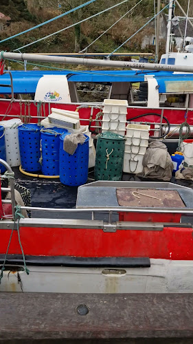 Opinii despre WHISKY CLUB MADRID în Madrid - Gastronomía y hostelería