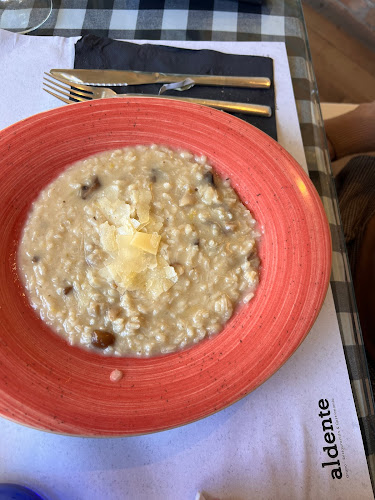 Reviews of Bar restaurante La Compañía (Granada) in Granada - Gastronomía y hostelería