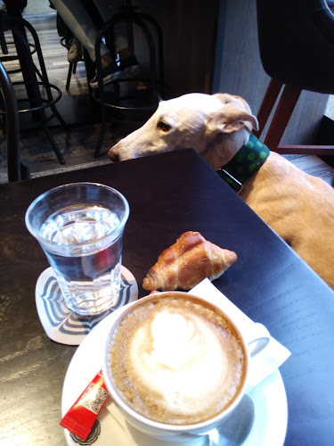 Cafetón. Desde 1904 - Gijón