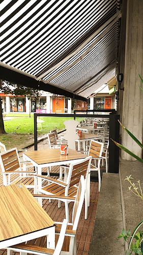 Comments and reviews of La Dama