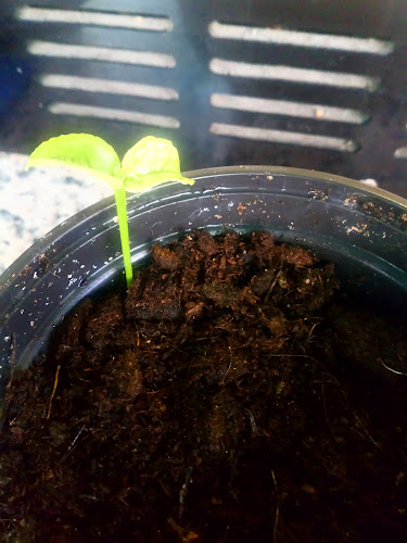 Bar Navarro 3 - Zaragoza