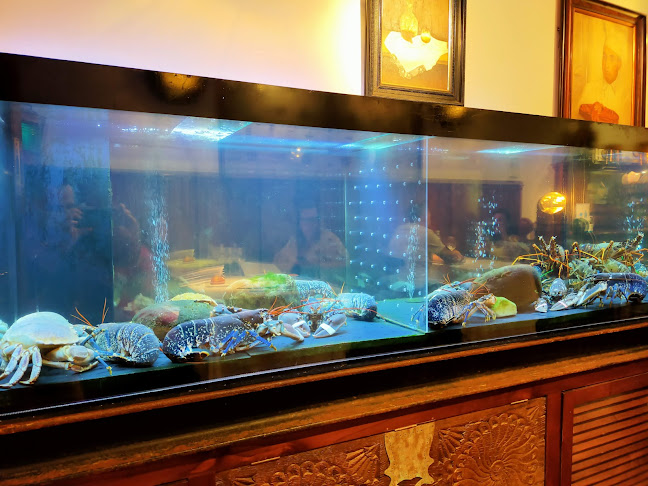 Juanito Kojua - Donostia-San Sebastian