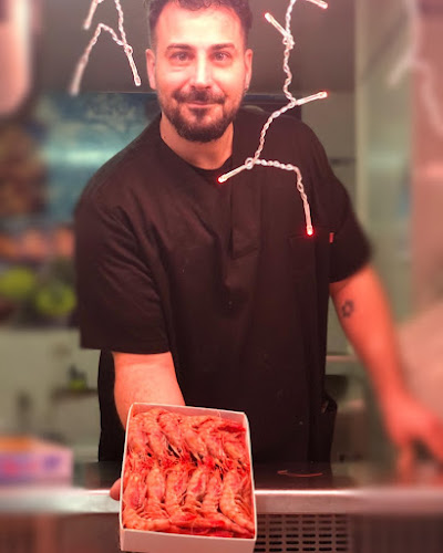 Congelados Toñi - Alicante