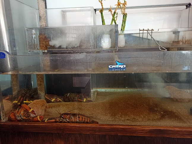 Cafeteria restaurante Yunke