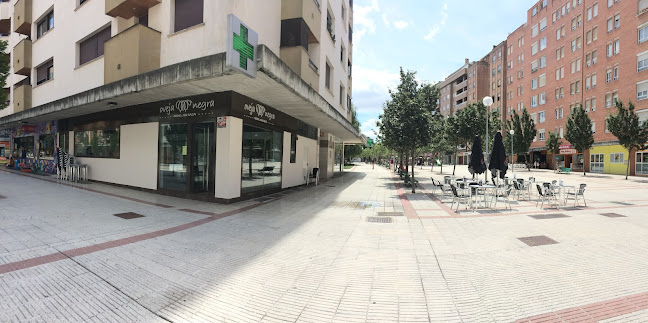 Oveja Negra Pamplona - Gastronomía y hostelería